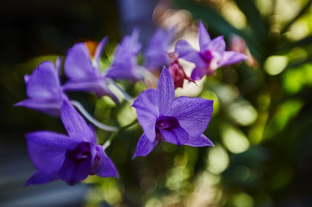 קנגו Matra Bali Guesthouse מראה חיצוני תמונה